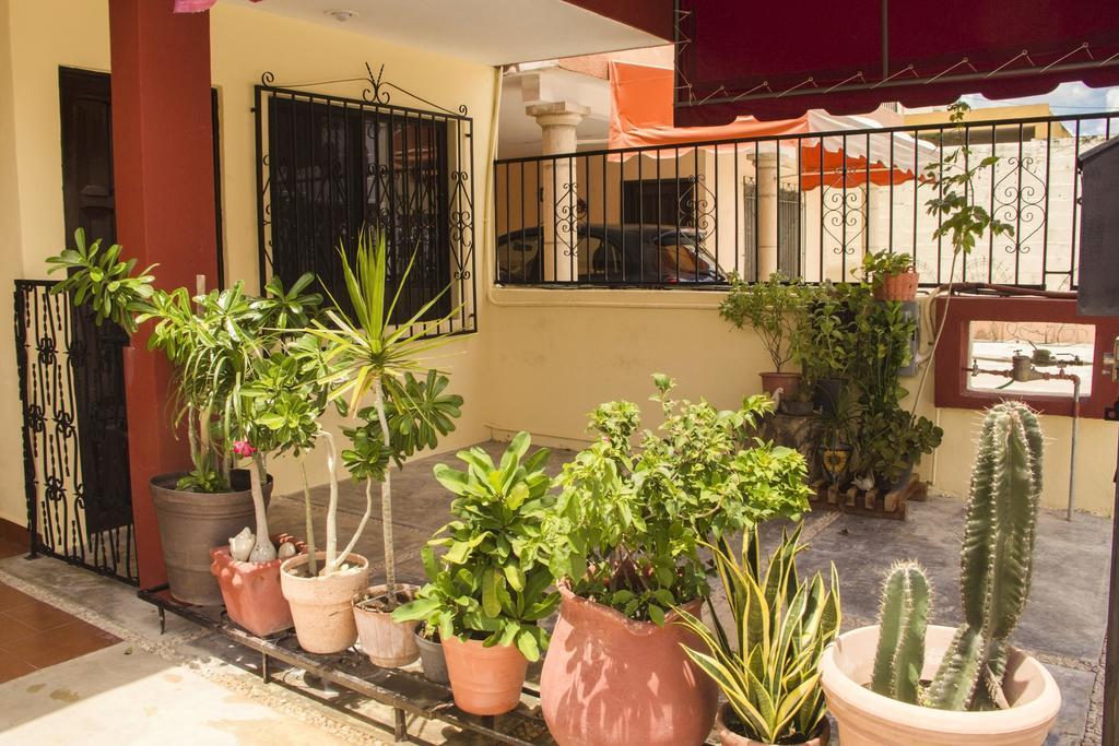 La Casa Del Chac Villa Mérida Kültér fotó