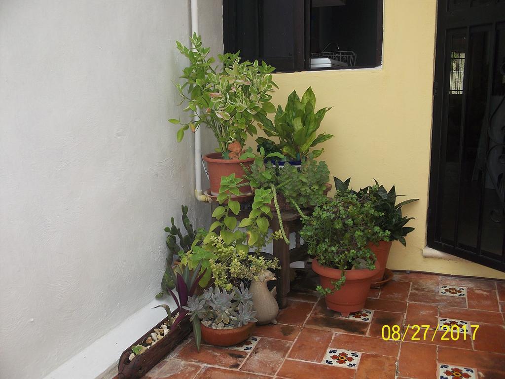 La Casa Del Chac Villa Mérida Kültér fotó
